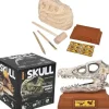 Sale Adventure Planet 6.5" Dinosaur Skull Excavation Dig Kit Velociraptor