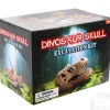 Clearance Adventure Planet 6.5" Dinosaur Skull Excavation Dig Kit T-Rex