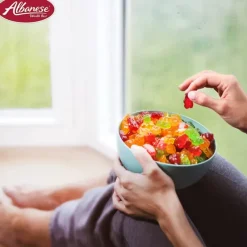 Clearance Albanese Confectionery 5 Natural Flavor Gummi Bears 5 lb. Bag