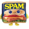 Clearance Fiesta Toy 5.5" SPAM Boy or Girl