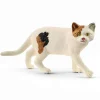 Online Schleich American Shorthair Cat