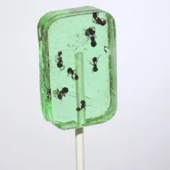 Best Hotlix ANT-LIX Suckers Assorted Flavors