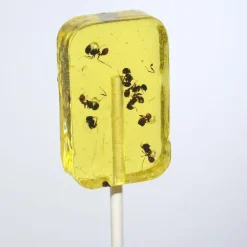 Best Hotlix ANT-LIX Suckers Assorted Flavors