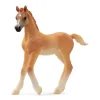 Schleich Arabian Foal