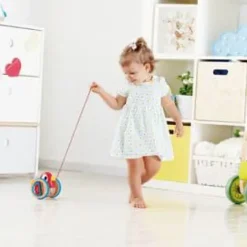 Outlet Hape Baby Bird Pull Along