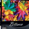 Online MasterPieces Brilliance - Fall Frenzy - Fall Leaves - 550 Piece Puzzle
