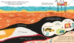 Best Usborne Books Can We Really Help the Polar Bears?