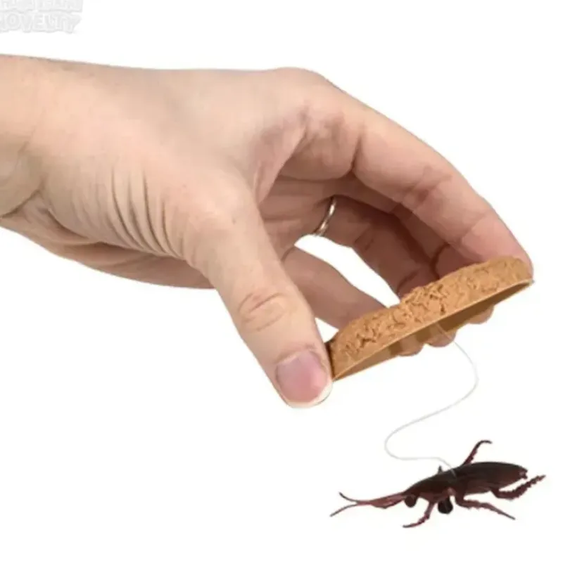 Best The Toy Network Cookie Surprise