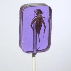 Online Albanese Confectionery Cricket Lick-It Suckers Assorted Flavors