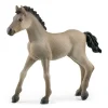 Online Schleich Criollo Definitivo Foal