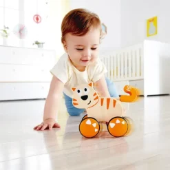 Best Hape Dante Push and Go