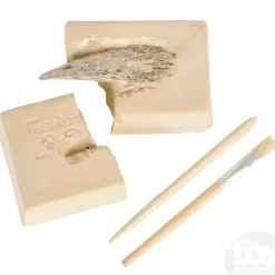 Online The Toy Network Dinosaur Claw Excavation Kit