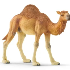 Clearance Schleich Dromedary