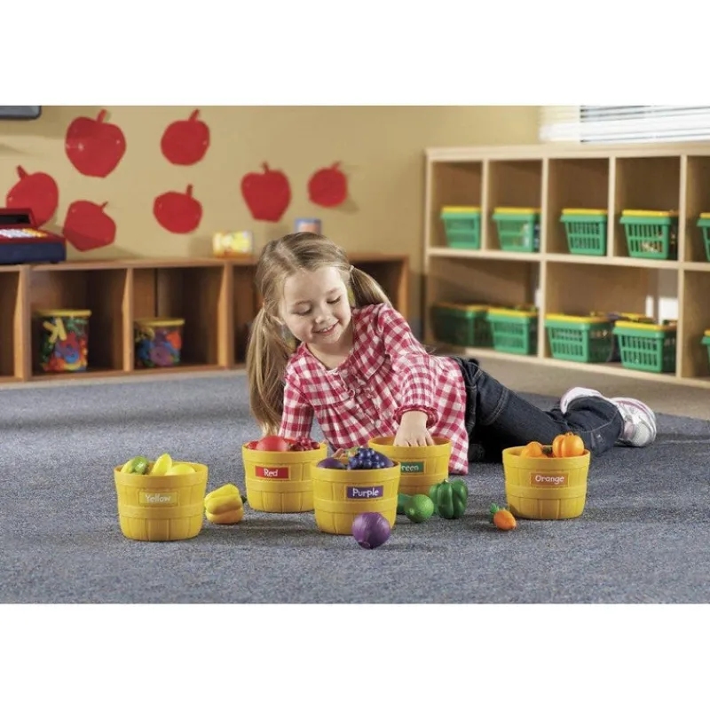 Discount Learning Resources Farmer's Market Color Sorting Set