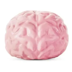 Hot Play Visions Giant Brain Ball