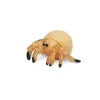 Sale Safari Ltd Good Luck Minis Hermit Crabs
