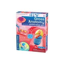 Clearance Thames u0026 Kosmos Gross Anatomy: Make-Your-Own Squishy Human Body