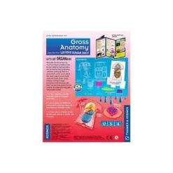 Clearance Thames u0026 Kosmos Gross Anatomy: Make-Your-Own Squishy Human Body