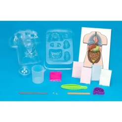 Clearance Thames u0026 Kosmos Gross Anatomy: Make-Your-Own Squishy Human Body