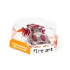 Outlet Spin Master Hexbug Fire Ant Mechanical - Magenta