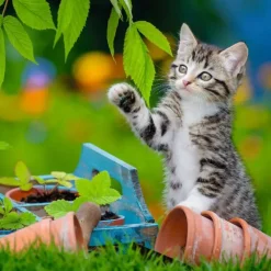New Ravensburger Kittens - 3x49 Piece Puzzle