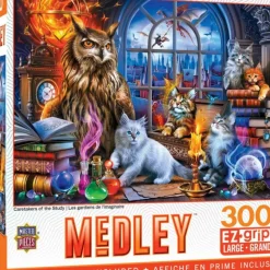 Hot MasterPieces Medley - Caretakers of the Study - 300 Piece EzGrip Puzzle
