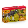 Online Schleich Moose Family