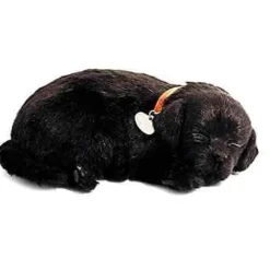 Hot Perfect Petzzz Black Lab
