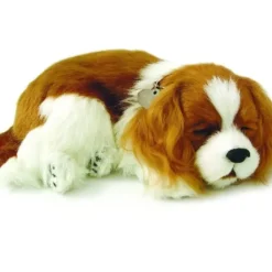 Online Perfect Petzzz Cavalier King Charles
