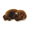 Outlet Perfect Petzzz Chocolate Lab