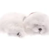 Sale Perfect Petzzz Maltese