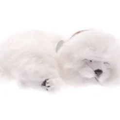 Sale Perfect Petzzz Maltese