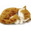 Best Perfect Petzzz Orange Tabby Kitten