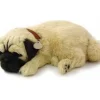 Hot Perfect Petzzz Pug