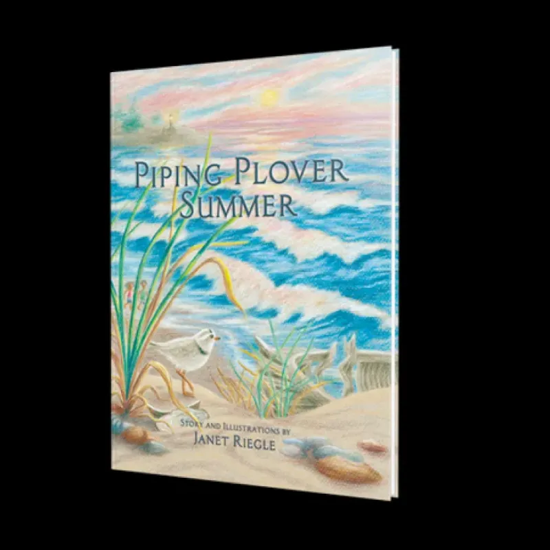 New Legacy Bound Piping Plover Summer