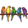 New Unidragon Playful Parrots Wooden Puzzle