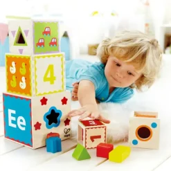Hape Pyramid of Play