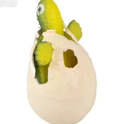 Online The Toy Network Small Hatch And Grow Turtle Egg