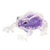 Discount Schylling Squish The Frog
