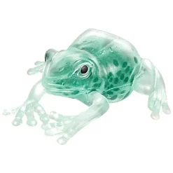 Discount Schylling Squish The Frog