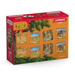 Clearance Schleich Wild Life Asia Starter Set