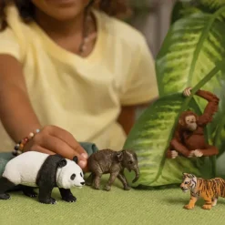 Clearance Schleich Wild Life Asia Starter Set