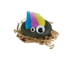 Hot Super Impulse World’s Smallest Pet Rock
