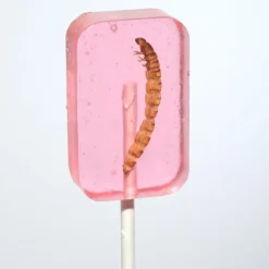 New Hotlix Worm Suckers Assorted Flavors